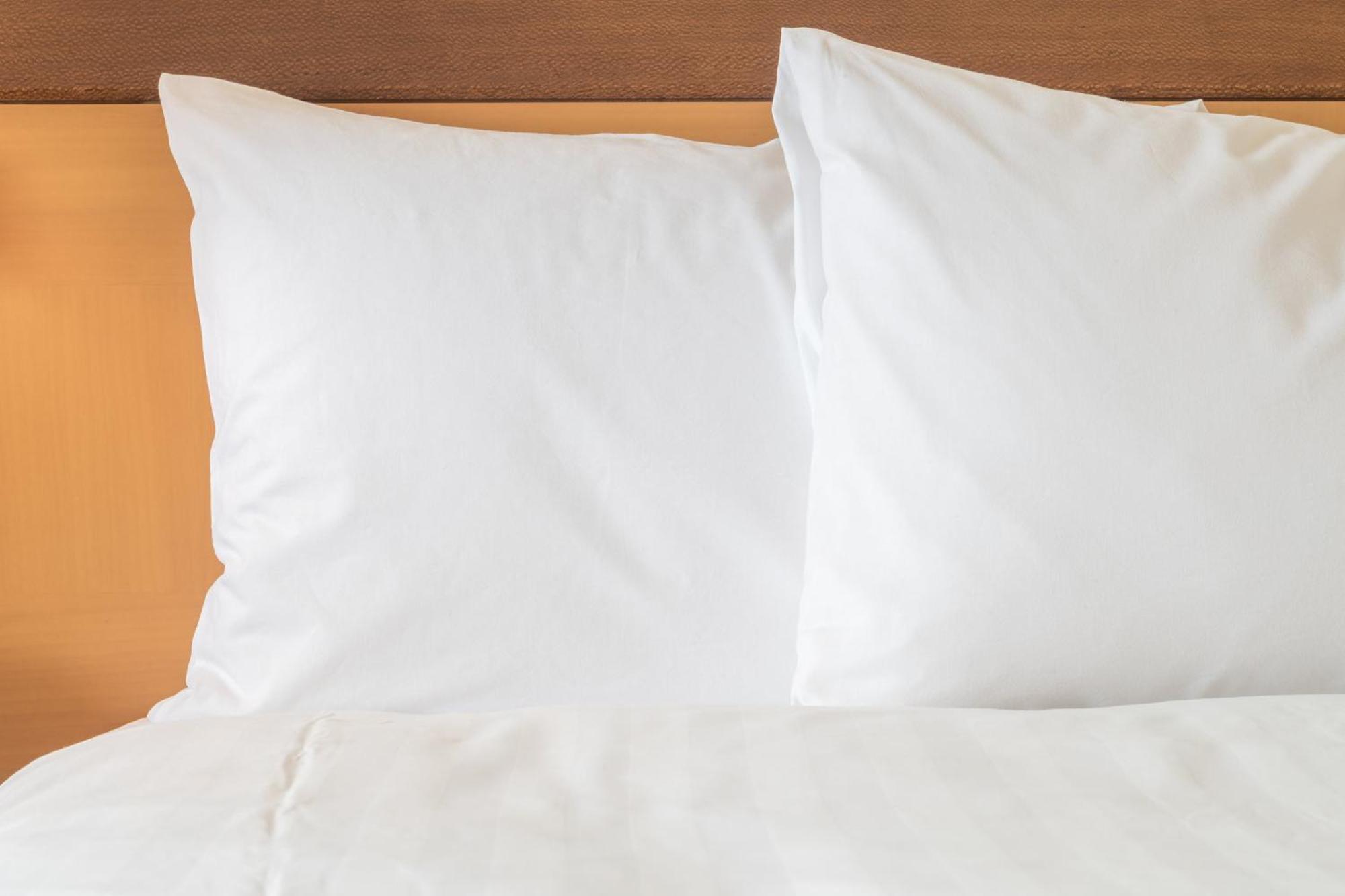 Holiday Inn Express & Suites Tampa Stadium - Airport Area By Ihg מראה חיצוני תמונה